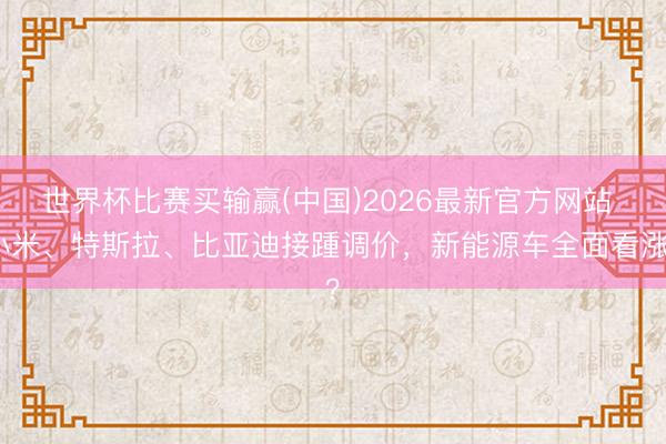 世界杯比赛买输赢(中国)2026最新官方网站 小米、特斯拉、比亚迪接踵调价，新能源车全面看涨？