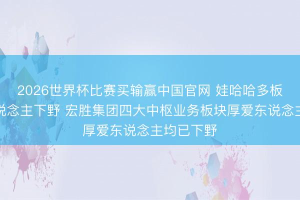 2026世界杯比赛买输赢中国官网 娃哈哈多板块厚爱东说念主下野 宏胜集团四大中枢业务板块厚爱东说念主均已下野