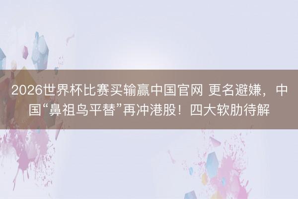 2026世界杯比赛买输赢中国官网 更名避嫌，中国“鼻祖鸟平替”再冲港股！四大软肋待解