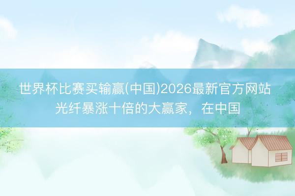 世界杯比赛买输赢(中国)2026最新官方网站 光纤暴涨十倍的大赢家，在中国