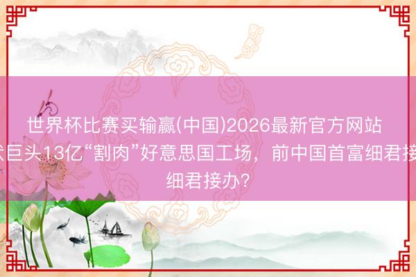 世界杯比赛买输赢(中国)2026最新官方网站 光伏巨头13亿“割肉”好意思国工场，前中国首富细君接办？