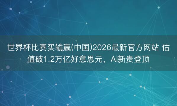 世界杯比赛买输赢(中国)2026最新官方网站 估值破1.2万亿好意思元，AI新贵登顶