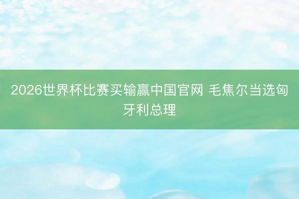 2026世界杯比赛买输赢中国官网 毛焦尔当选匈牙利总理
