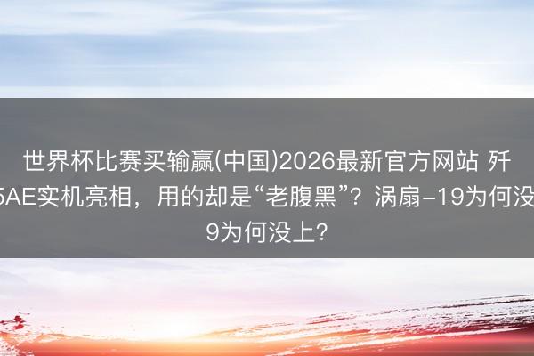 世界杯比赛买输赢(中国)2026最新官方网站 歼-35AE实机亮相，用的却是“老腹黑”？涡扇-19为何没上？