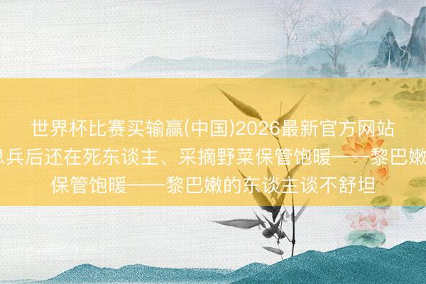 世界杯比赛买输赢(中国)2026最新官方网站 家园焕然一新、息兵后还在死东谈主、采摘野菜保管饱暖——黎巴嫩的东谈主谈不舒坦
