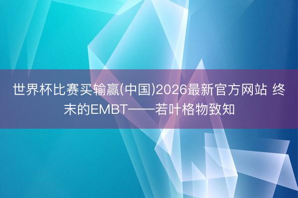 世界杯比赛买输赢(中国)2026最新官方网站 终末的EMBT——若叶格物致知