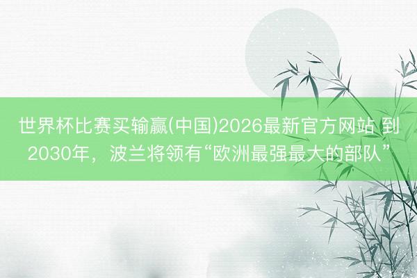 世界杯比赛买输赢(中国)2026最新官方网站 到2030年，波兰将领有“欧洲最强最大的部队”