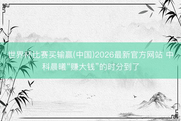 世界杯比赛买输赢(中国)2026最新官方网站 中科晨曦“赚大钱”的时分到了