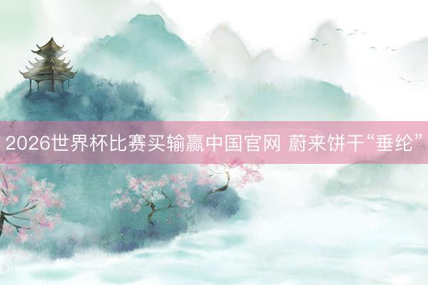 2026世界杯比赛买输赢中国官网 蔚来饼干“垂纶”