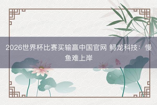 2026世界杯比赛买输赢中国官网 鲟龙科技：慢鱼难上岸