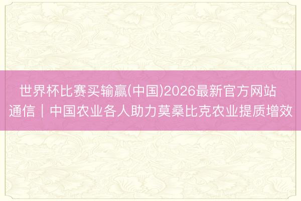 世界杯比赛买输赢(中国)2026最新官方网站 通信｜中国农业各人助力莫桑比克农业提质增效
