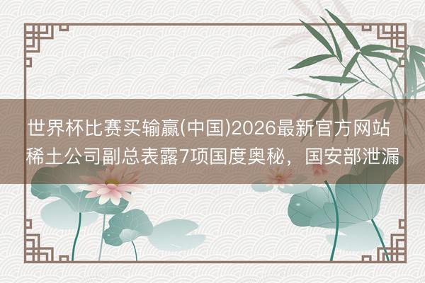 世界杯比赛买输赢(中国)2026最新官方网站 稀土公司副总表露7项国度奥秘，国安部泄漏